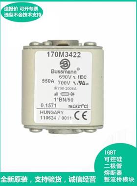 保险丝熔断器170M3810 170M3811 170M3812 170M3813