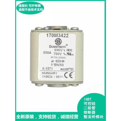 保险丝熔断器170M3810 170M3811 170M3812 170M3813