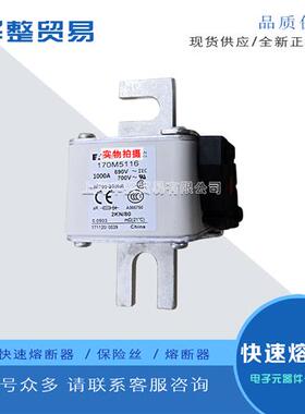 巴斯曼快速熔断器保险丝全新原装正品170M5117 170M5118 170M5119