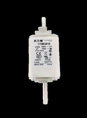 170M5308/5309/5310/5311/5312/5313/5314/5315/5316保险管熔断器