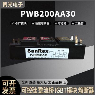 三社PWB200AA30 PWB200AA40 电焊机专业模块可控硅 晶闸管模块