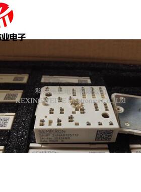 skiip24nab125t12 skiip22nab125t12 skiip21neb063t1 22nab063t1