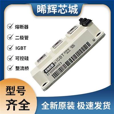 艾赛斯FF300R06KE3 IGBT 可控硅 晶闸管模块 极速发货 现货可直拍
