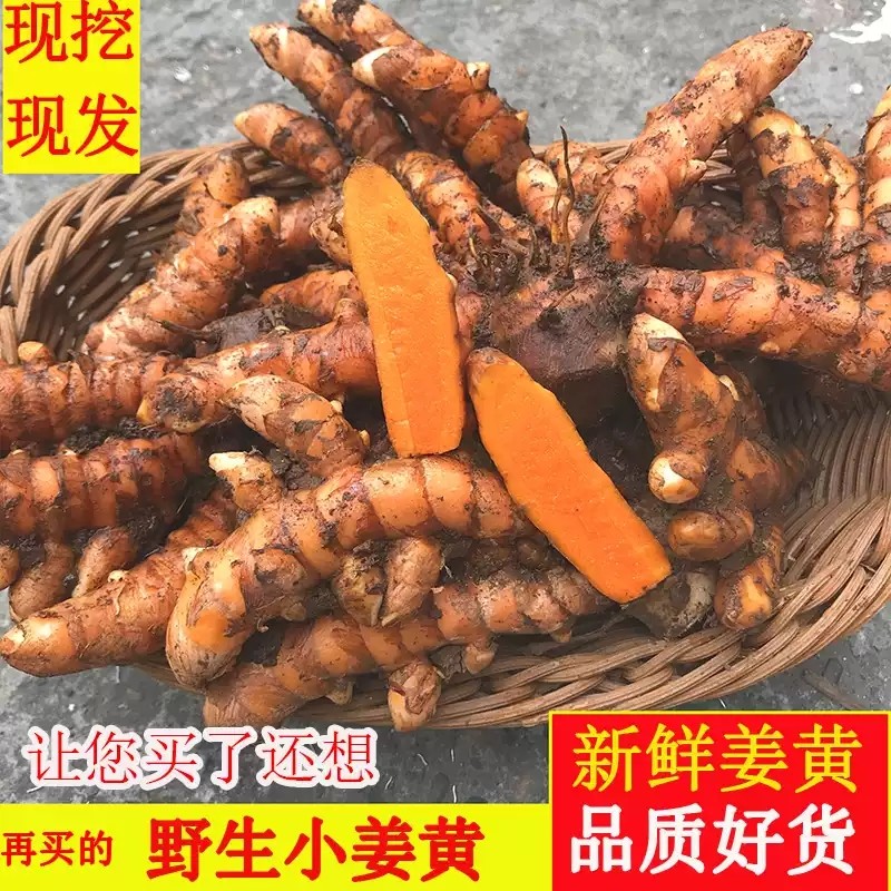 四川野生姜黄新鲜小黄姜红姜现挖药用黄姜产后调节月子咖喱姜包邮,水产肉类/新鲜蔬果/熟食,生姜/南姜,淘宝优惠券,粉丝福利购,淘宝优惠卷