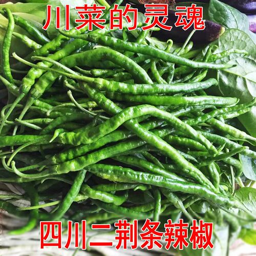 四川二荆条新鲜青椒青海椒辣椒薄皮青椒非线椒时令蔬菜微辣现摘