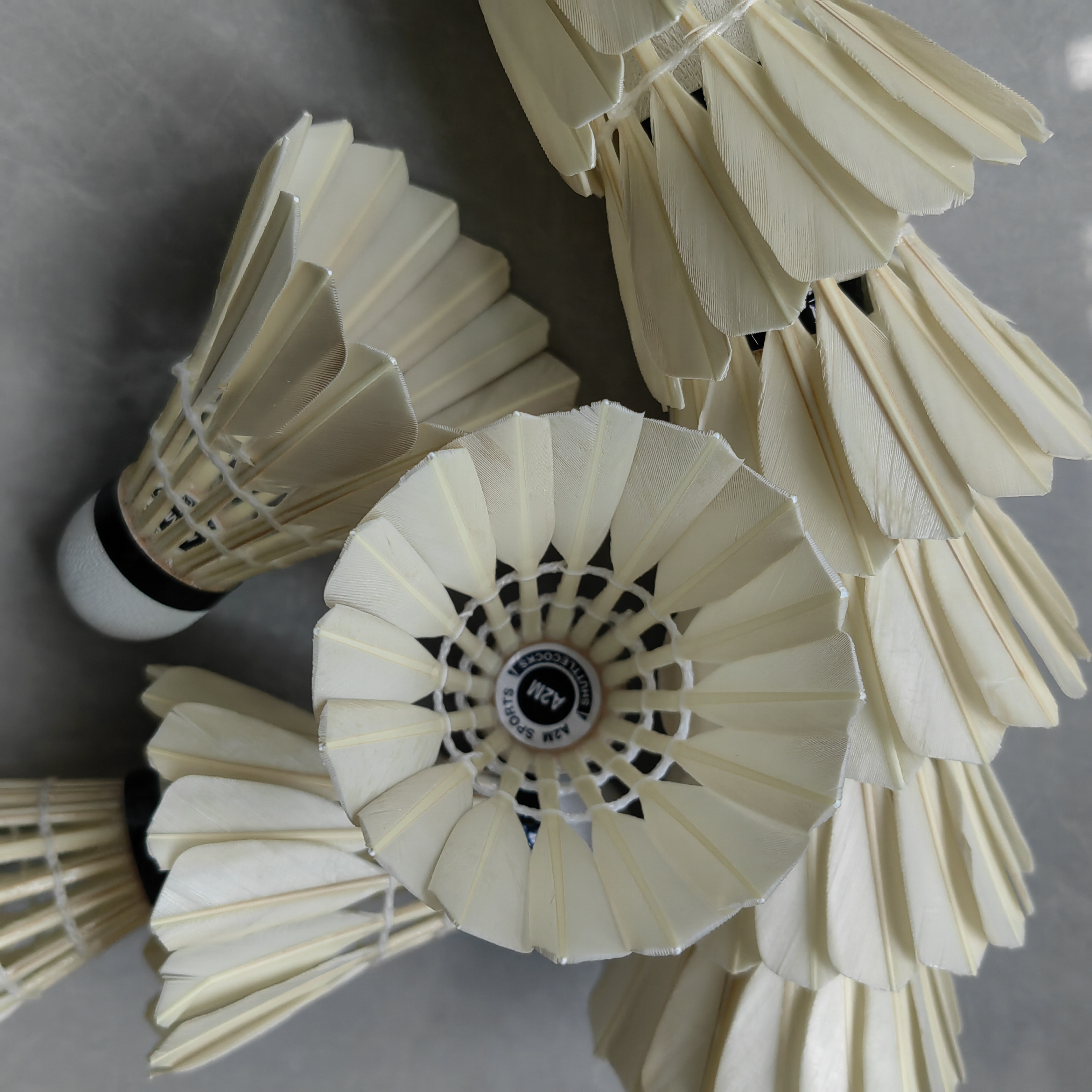 比赛俱乐部羽毛球鹅毛中小方