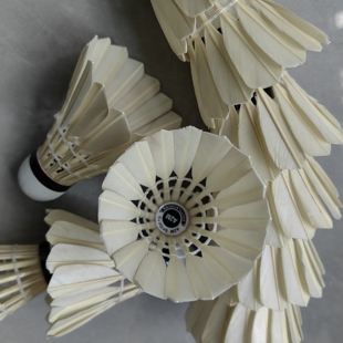 G6同款鹅毛羽毛球耐打飞行稳定鹅中小方羽毛球比赛俱乐部羽毛球