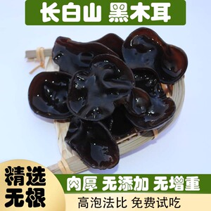 长白山黑木耳东北木耳东北土特产干货无根新货黑木耳包邮