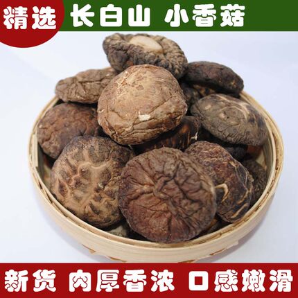 东北土特产香菇无根长白山蘑菇东北小香菇干货包邮500g