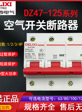 德力西断路器 DZ47-125 2P  3P 4P 80A 100A 125A 大功率空开CDB2
