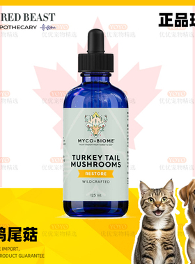 现货有标 Adored Beast 火鸡尾菇液体滴剂增强免疫抗老抗衰保健品