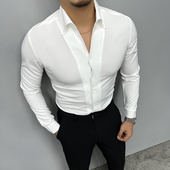 抗皱商务开胸正装 辉先生 衬衫 男深V领尖扣高弹领英伦修身 秋季 长袖