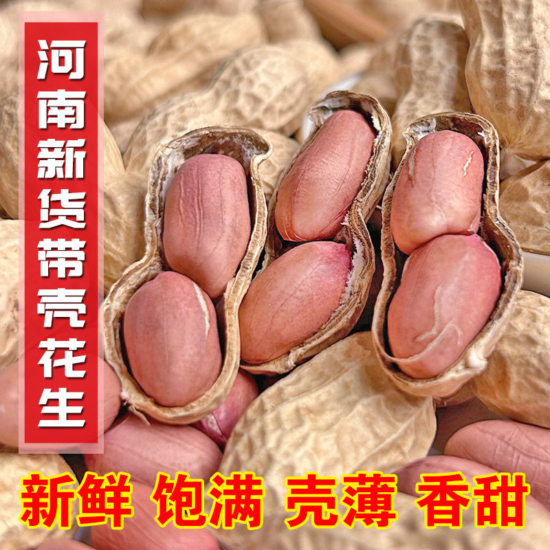 2026年新货带壳生花生农户自种晒干新鲜大花生果仁大粒优质花生米