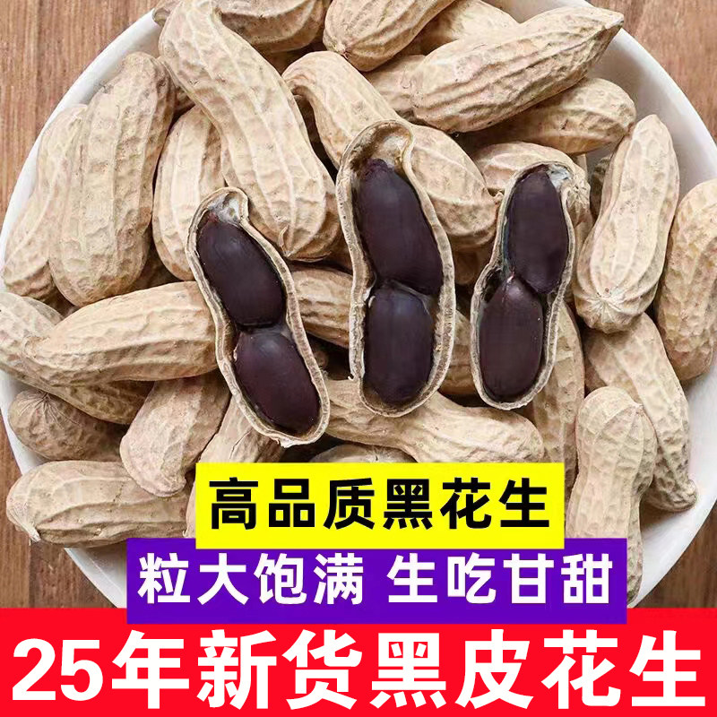 2025年新鲜黑花生带壳生花生富硒大粒黑皮花生花生米新货种子籽