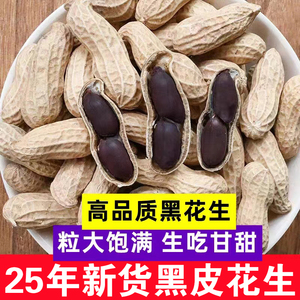 黑皮花生新鲜晒干带壳大粒