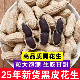 2025年新鲜黑花生带壳生花生富硒大粒黑皮花生花生米新货种子籽