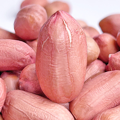 2025年新鲜生花生米大粒干花生今年新货河南农家新花生米可吃可种