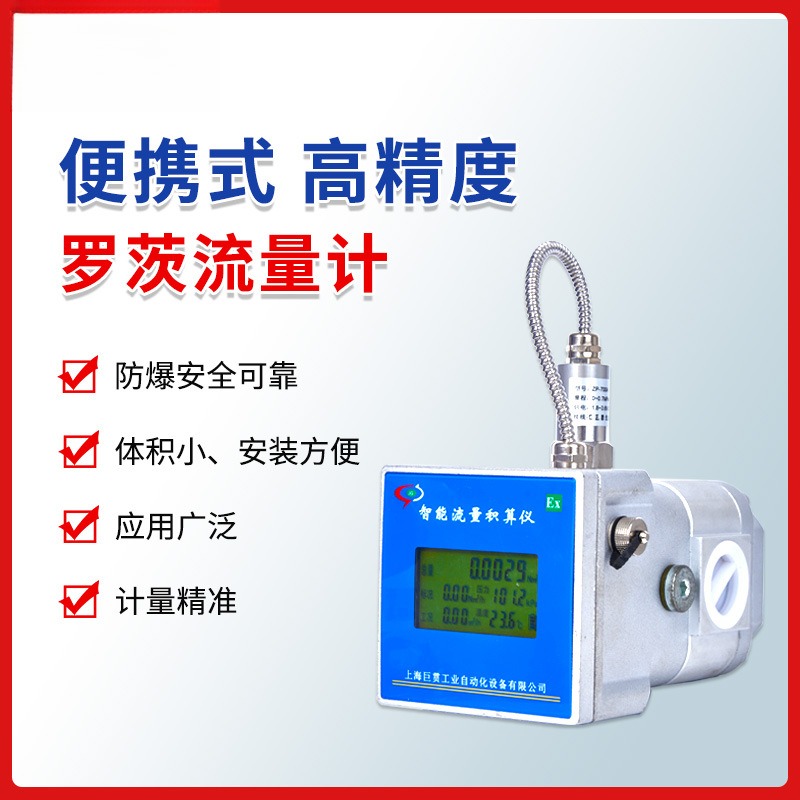 小罗茨流量计 气体腰轮微型小罗茨可测天然气燃气温度压力流量计