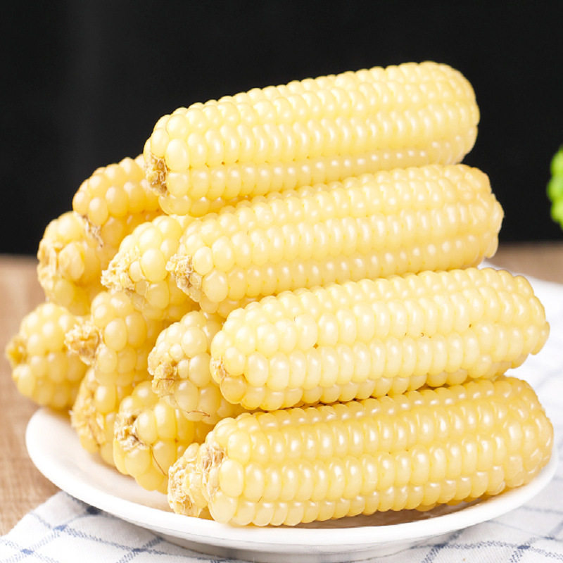 云南西酸版纳香糯拇指小玉米精品一级拇指玉米非转基因宝宝食品甜