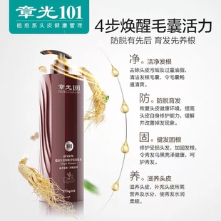 章光101生姜防脱洗发水护发素育发增发际线氨基酸无硅油假一赔十