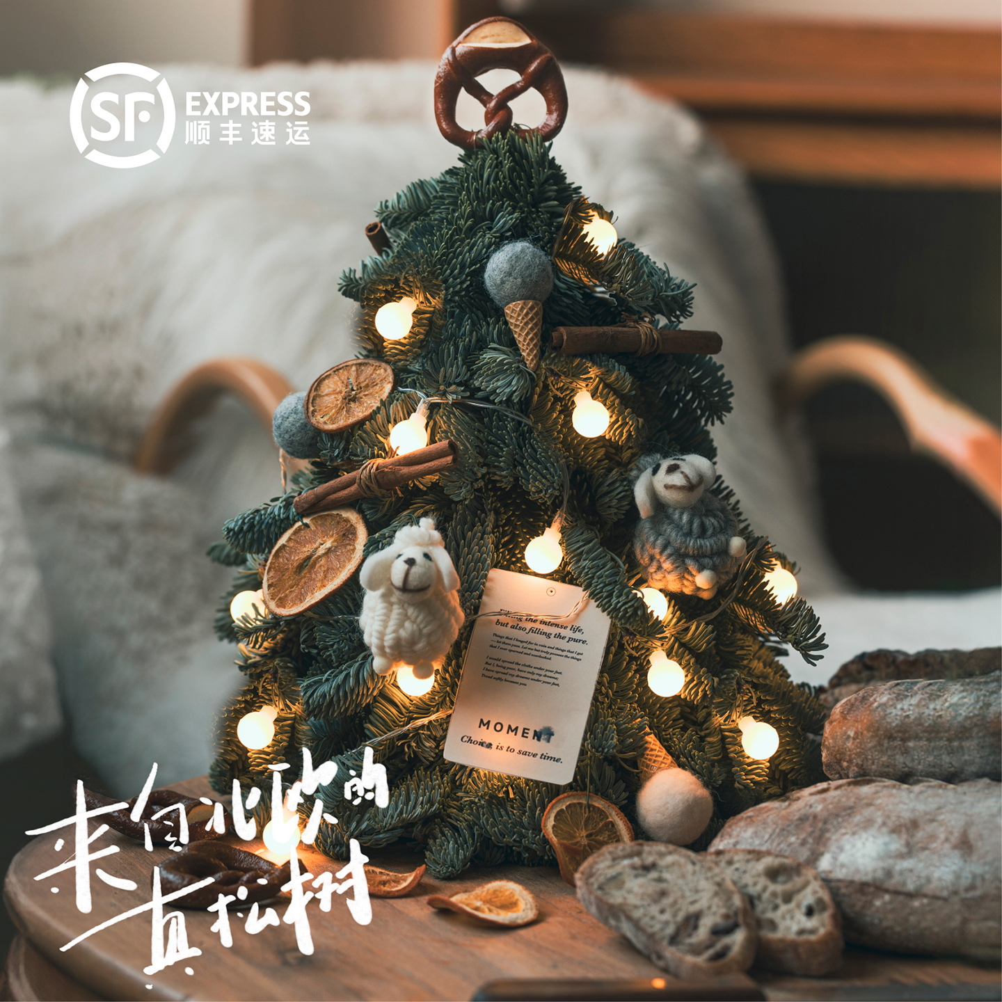 进口诺贝松圣诞树真树圣诞节装饰