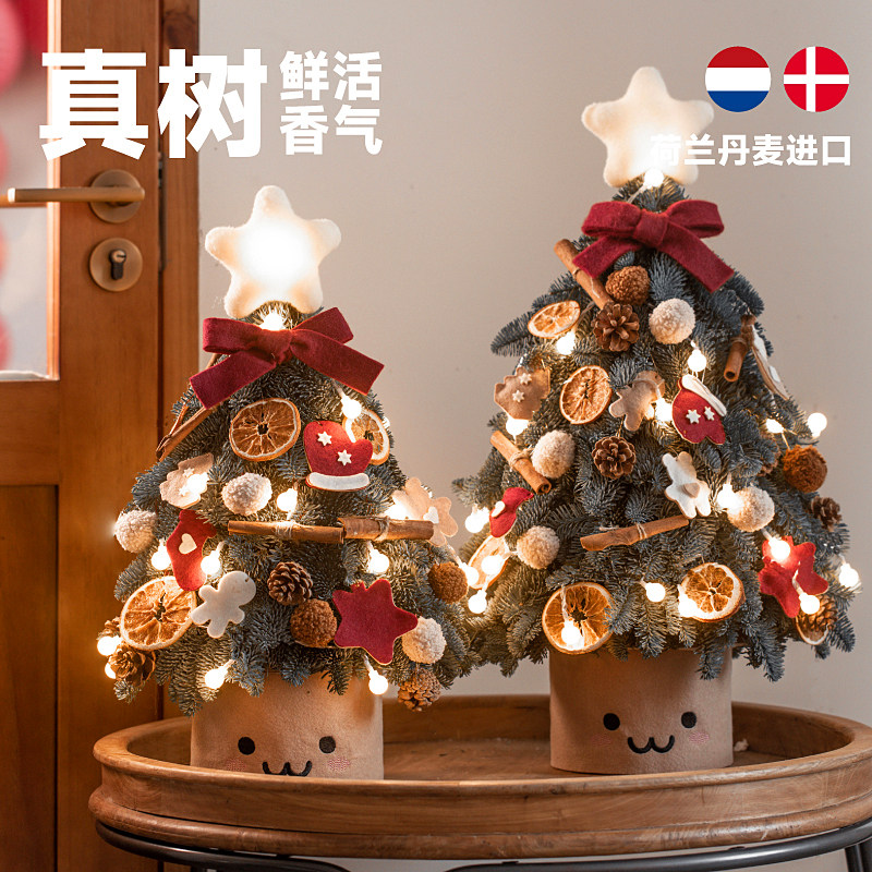 诺贝松圣诞树真树小型圣诞节装饰