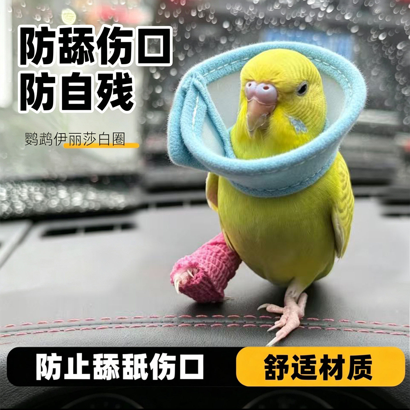 鹦鹉防啃咬毛脖套伊丽莎白圈受伤保护项圈头套虎皮牡丹玄凤防啄毛