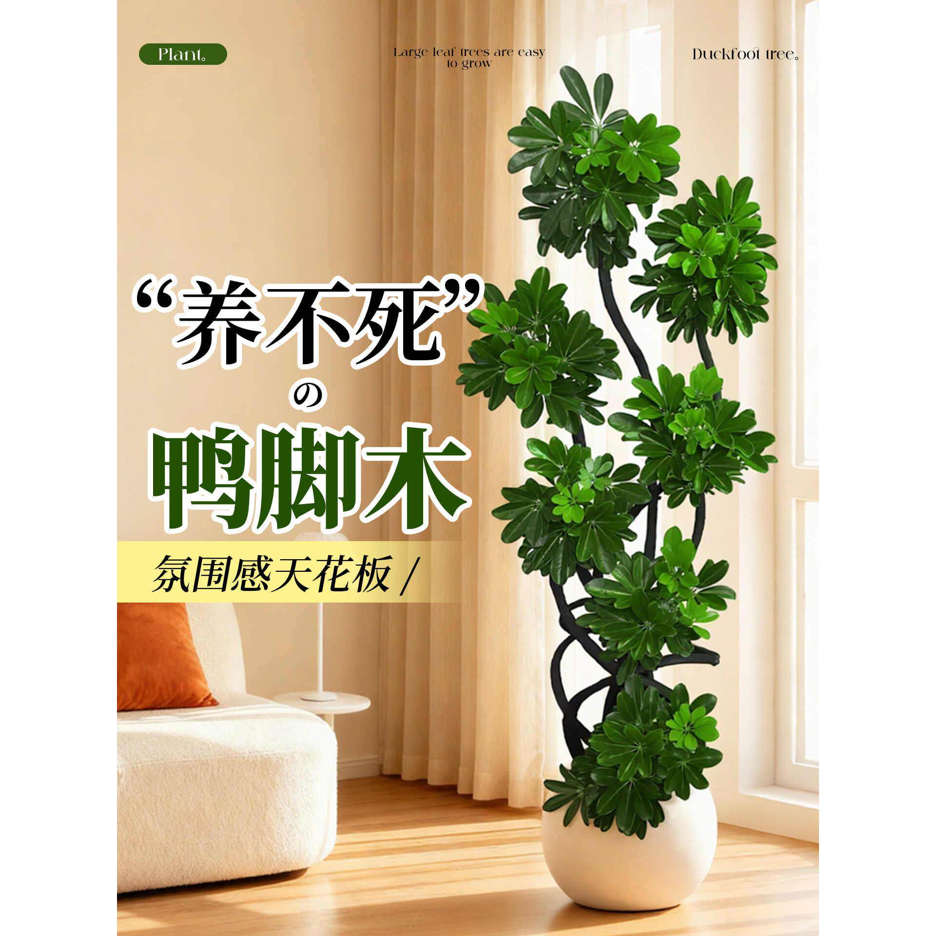 造型鸭脚木客厅大盆栽室内落地式大型绿植物鸭掌木鹅掌柴四季常青