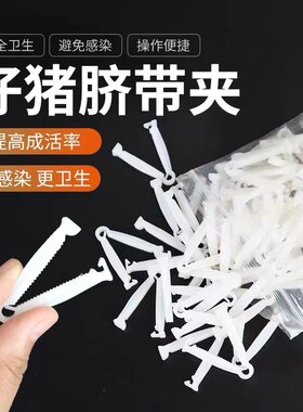 兽用小猪脐带夹猪用一次性仔猪护脐带剪断器夹子齐带夹养猪设备