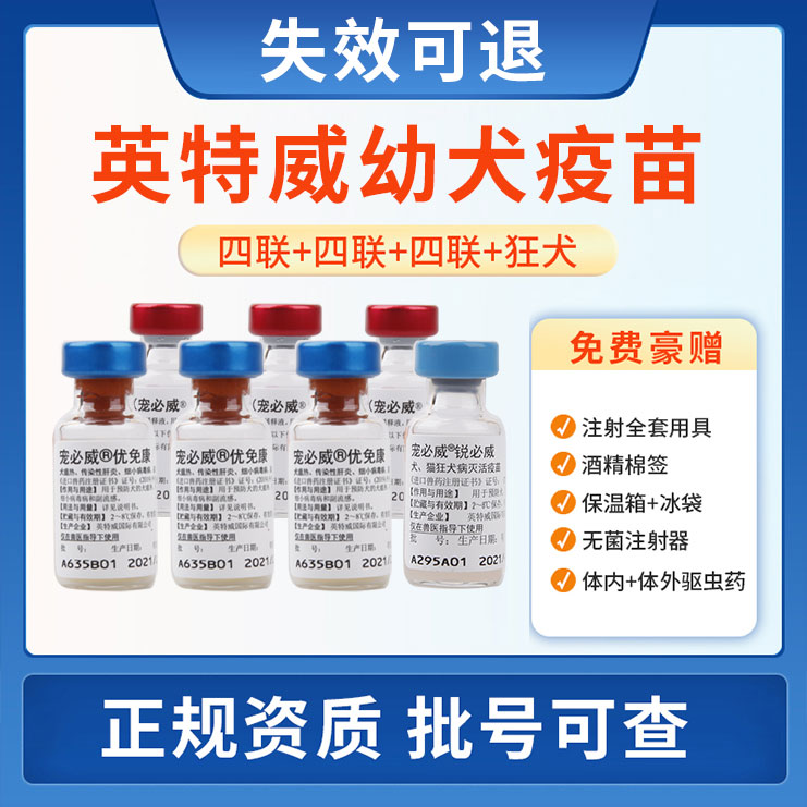 荷兰英特威狗狗疫苗宠物成幼犬