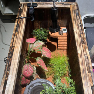 黄缘安缘台缘陆龟专用生态饲养箱造景箱养殖箱龟缸实木防腐可订制