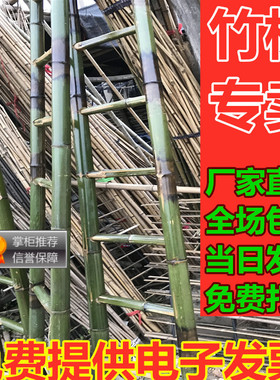 毛竹梯子家用人字梯直梯2米3米4米5米6米幼儿园攀爬梯电力工程梯