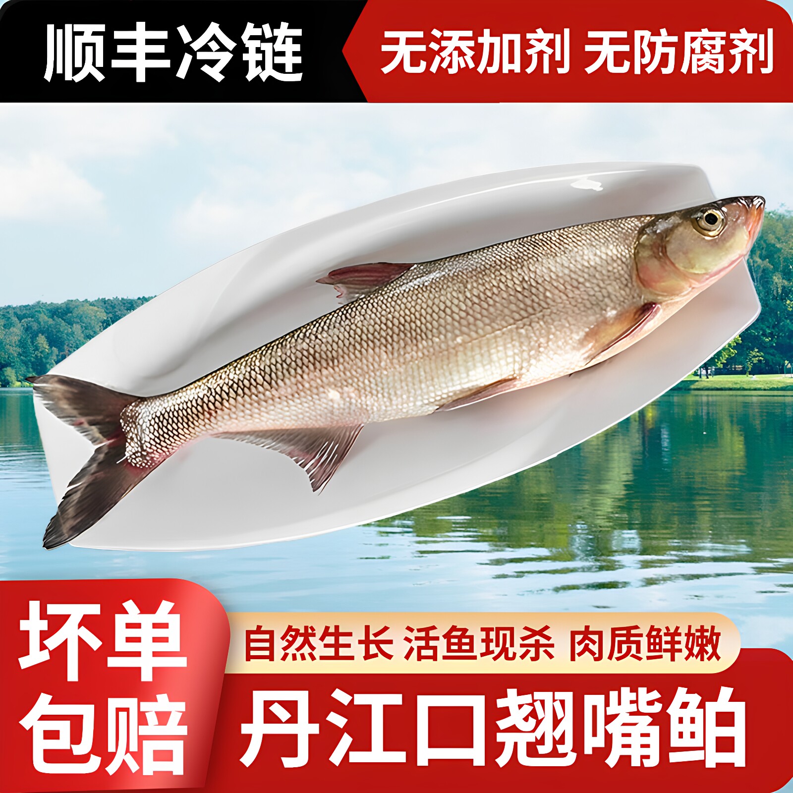 十堰丹江口翘嘴鲌鱼大白鱼湖北特产刁子鱼白条鱼新鲜生态翘嘴白鱼