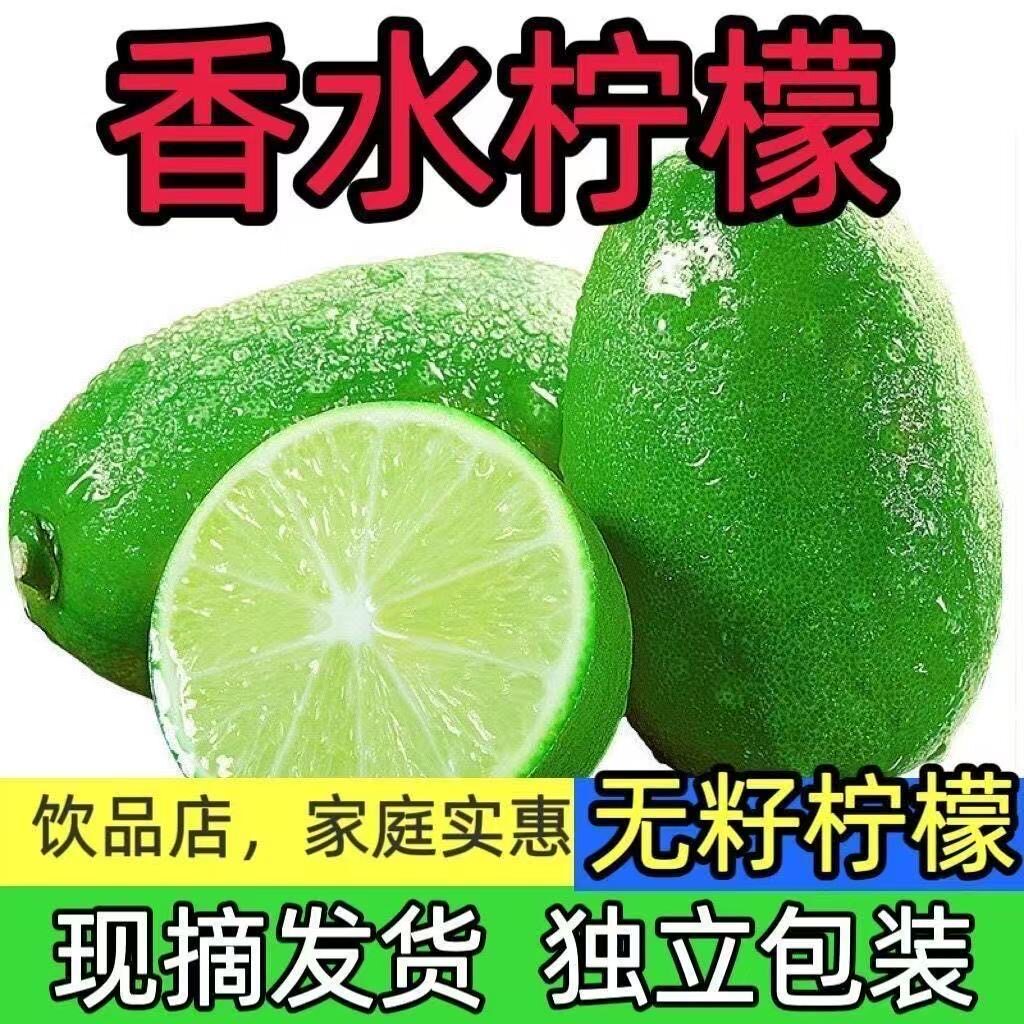 海南品种香水青柠檬皮薄多汁小果精选一级果类新鲜柠檬奶茶店店