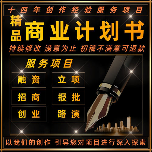 商业计划书撰写代做可行性研究报告项目立项创业融资方案策划PPT