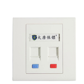 大唐 DT2801 大唐保镖 电话 面板 双口 网络模块 网络面板