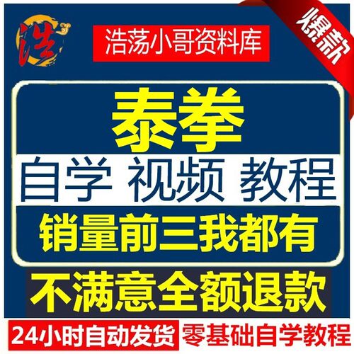 武术新视频教程全部资源泰拳街头格斗套路擒拿
