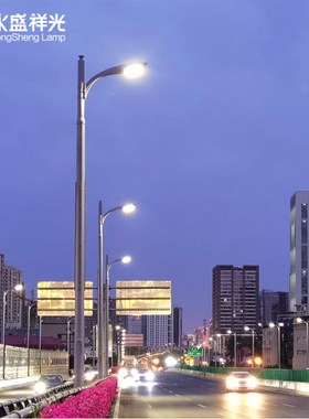 拍前询价城市道路iLED照明工程8米10米12米多杆合一路灯立杆景议