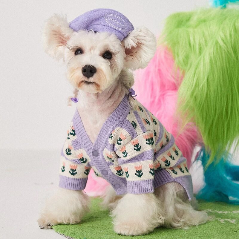 狗狗衣服春秋泰迪雪纳瑞比熊猫咪小型犬针织开衫紫色潮牌宠物毛衣