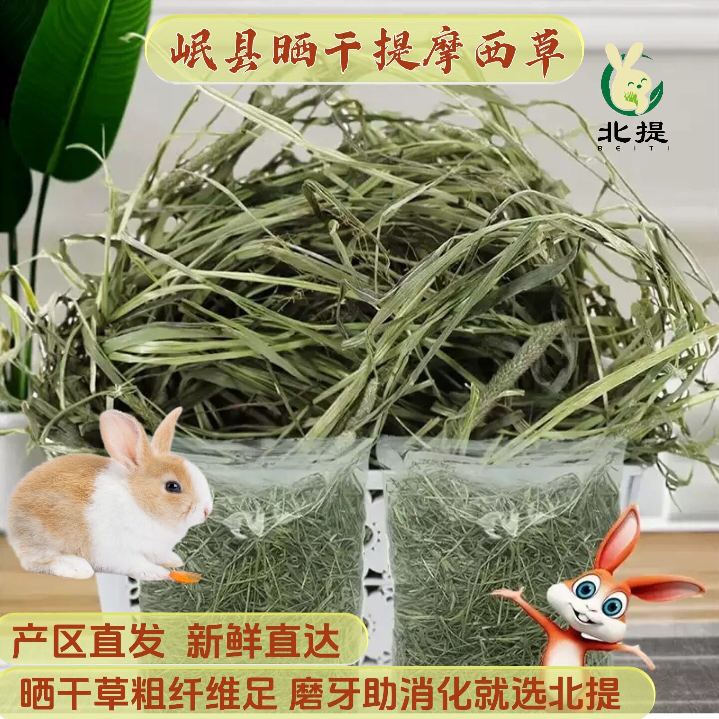北提摩西草兔粮兔饲料干草
