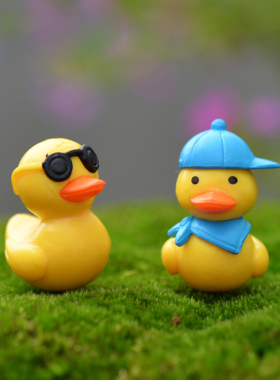 微景观多肉植物摆件可爱旅游小鸭公仔盆栽DIY摄影装饰摆设小道具