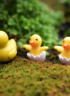 微景观公仔可爱风动物卡通小摆件