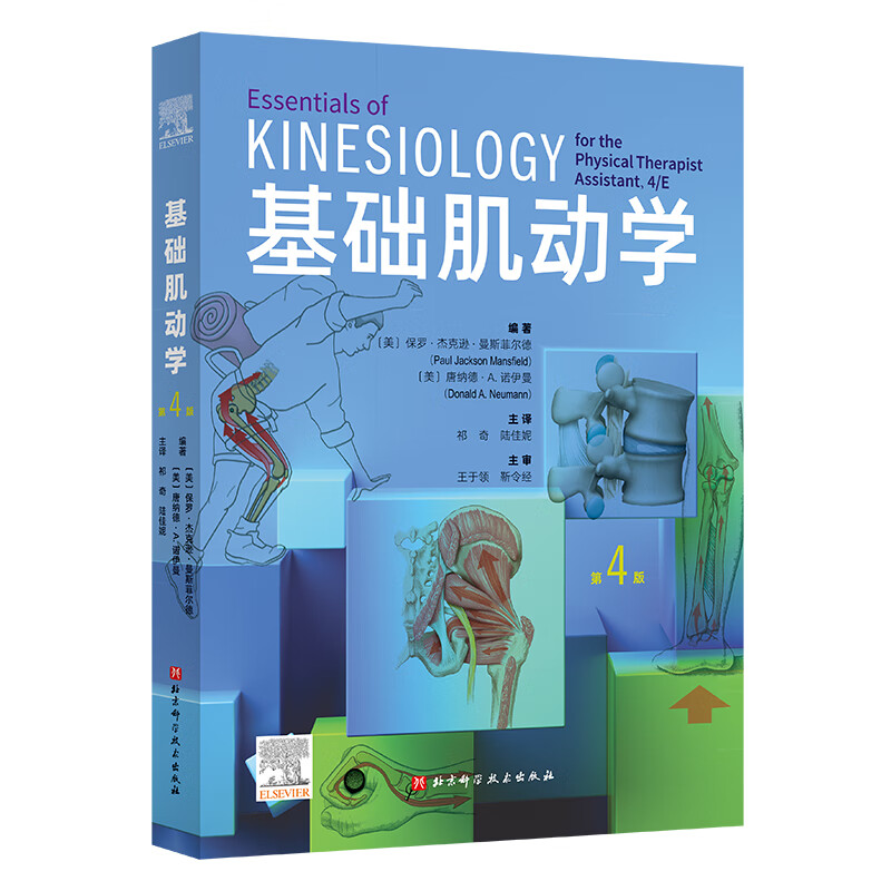 基础肌动学肌肉骨骼系统的结构