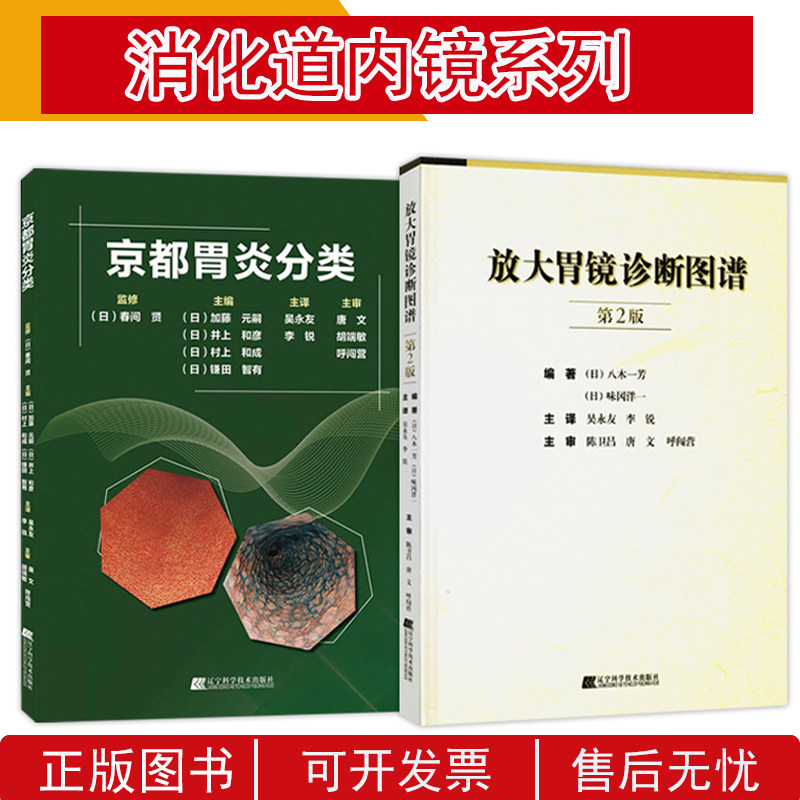 内科内镜书籍 胃镜图谱胃镜诊断疾病书 胃炎诊断诊疗书籍 胃病胃炎