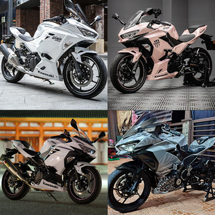 23款 Ninja400 花定制 车壳改色 版 全车外壳 川崎忍者400外壳