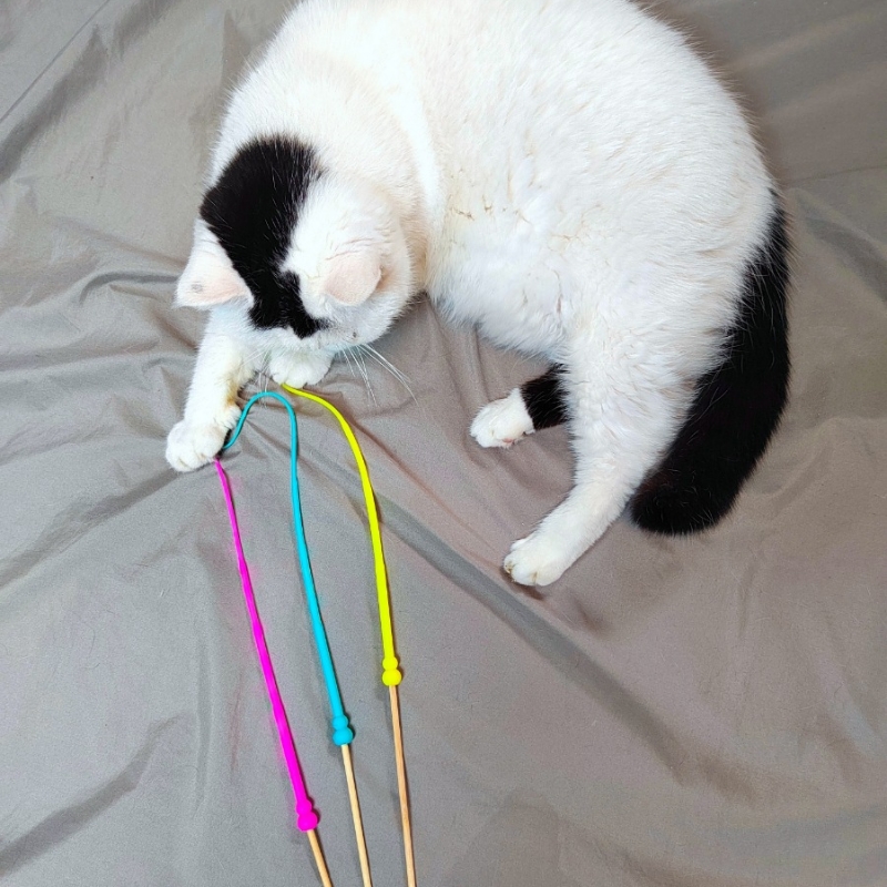 老鼠尾巴逗猫棒硅胶头我家猫喜欢