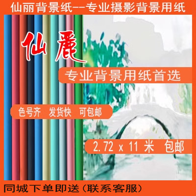 进口2.72*11米仙丽背景纸摄影拍照背景纸影楼人像婚纱摄像背景纸