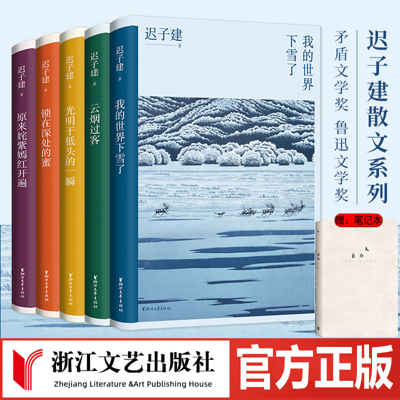 现货【赠笔记本】迟子建散文自选集全5册 云烟过客/锁在深处的蜜/我的世界下雪了/原来姹紫嫣红开遍/光明于低头的一瞬 浙江文艺