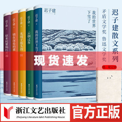 现货【赠笔记本】迟子建散文自选集全5册 云烟过客/锁在深处的蜜/我的世界下雪了/原来姹紫嫣红开遍/光明于低头的一瞬 浙江文艺