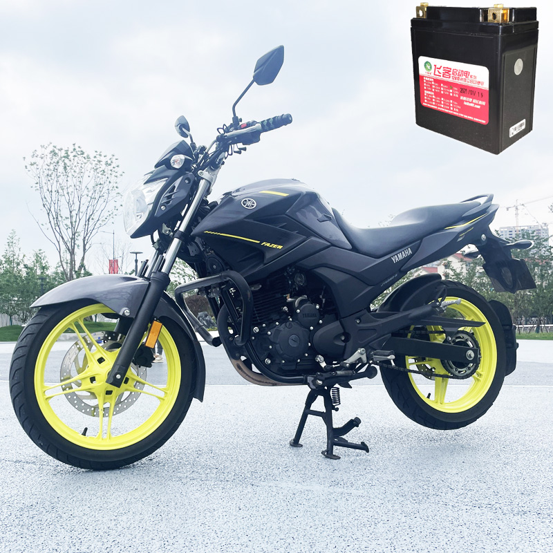 飞致250锂电雅马哈天剑王250锂电